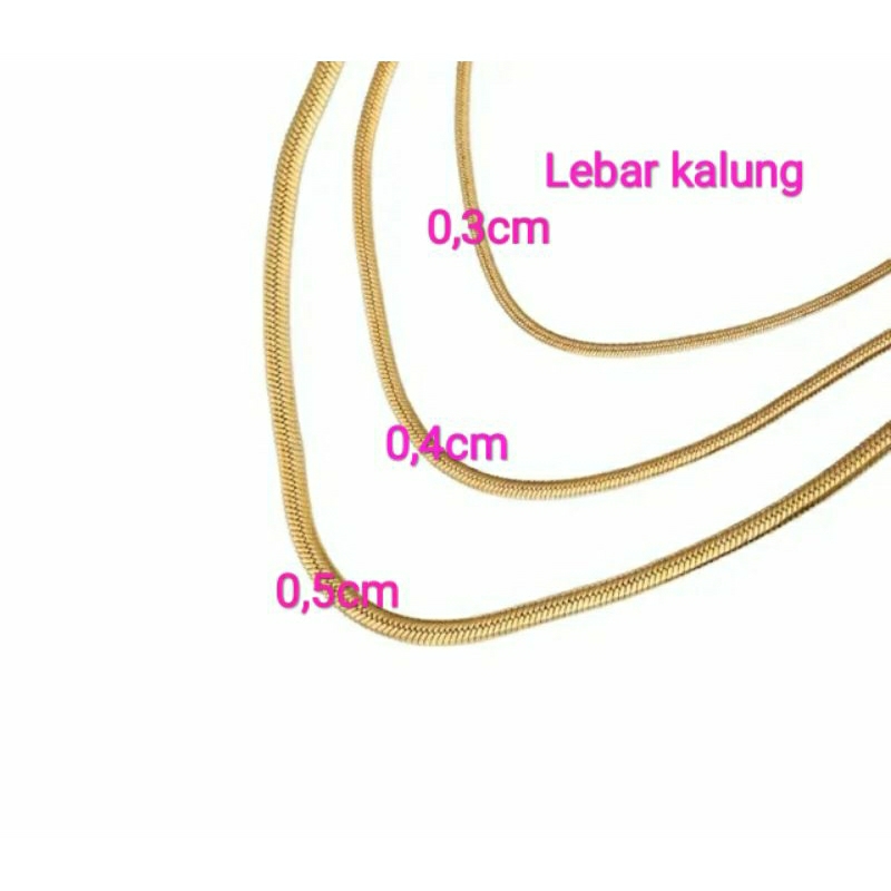 Kalung Titanium Import Pipih Belut Gepeng Stainless Steel Anti Karat Selamanya Super High Quality Premium