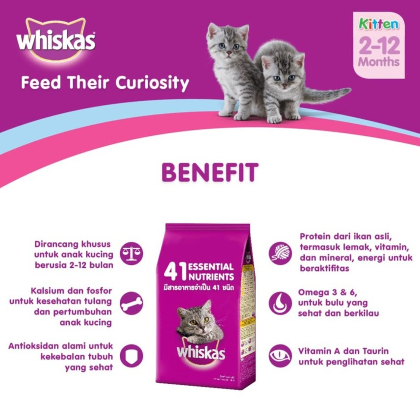 WHISKAS JUNIOR OCEAN FISH WITH MILK 1.1KG DRY FOOD / MAKANAN KERING ANAK KUCING