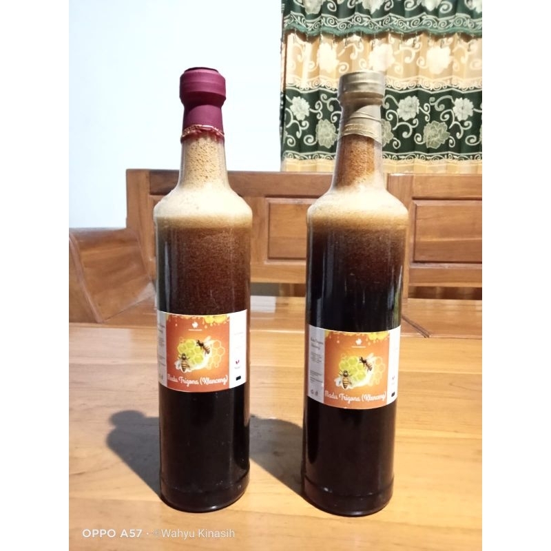 

Madu Klanceng 600ml / Madu Asli