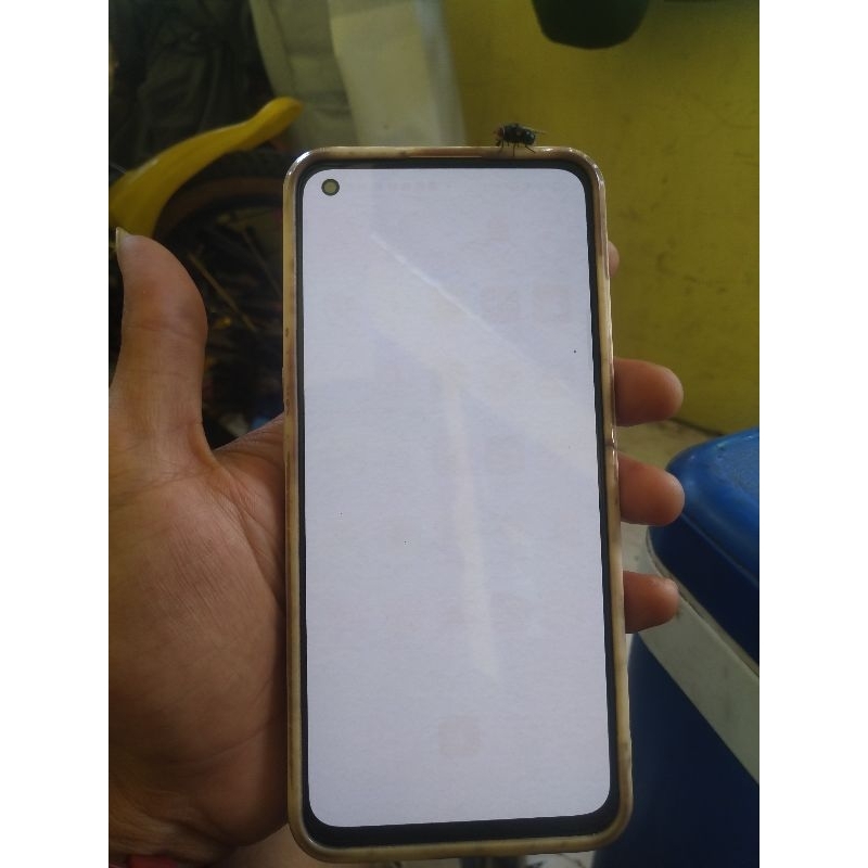 lcd reno  5 minus shadaw