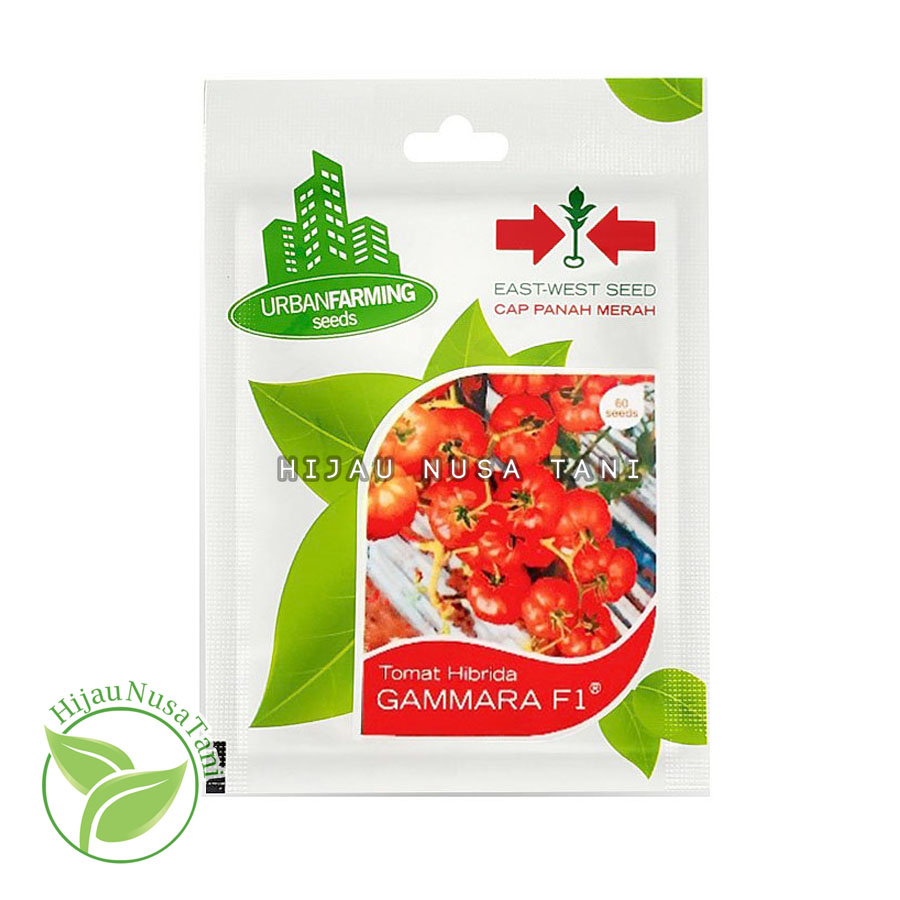 Benih Tomat Mawar GAMMARA F1 Cap Panah Merah East West Seed ( 60 biji ) - Small Pack Kemasan Kecil P