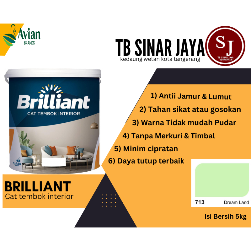 Brilliant Cat Tembok Interior Tembok Rumah Isi 5Kg - 713 Dream Land