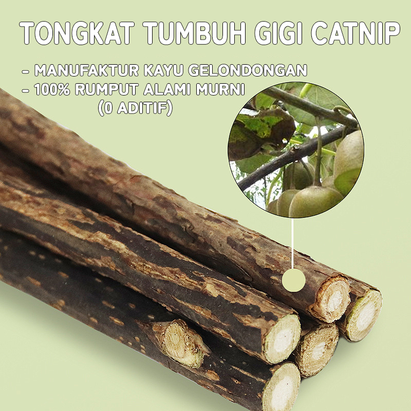 CATNIP Molar STICK MATABI - Catnip Snack Makanan Kucing Kitten Catnip Stick