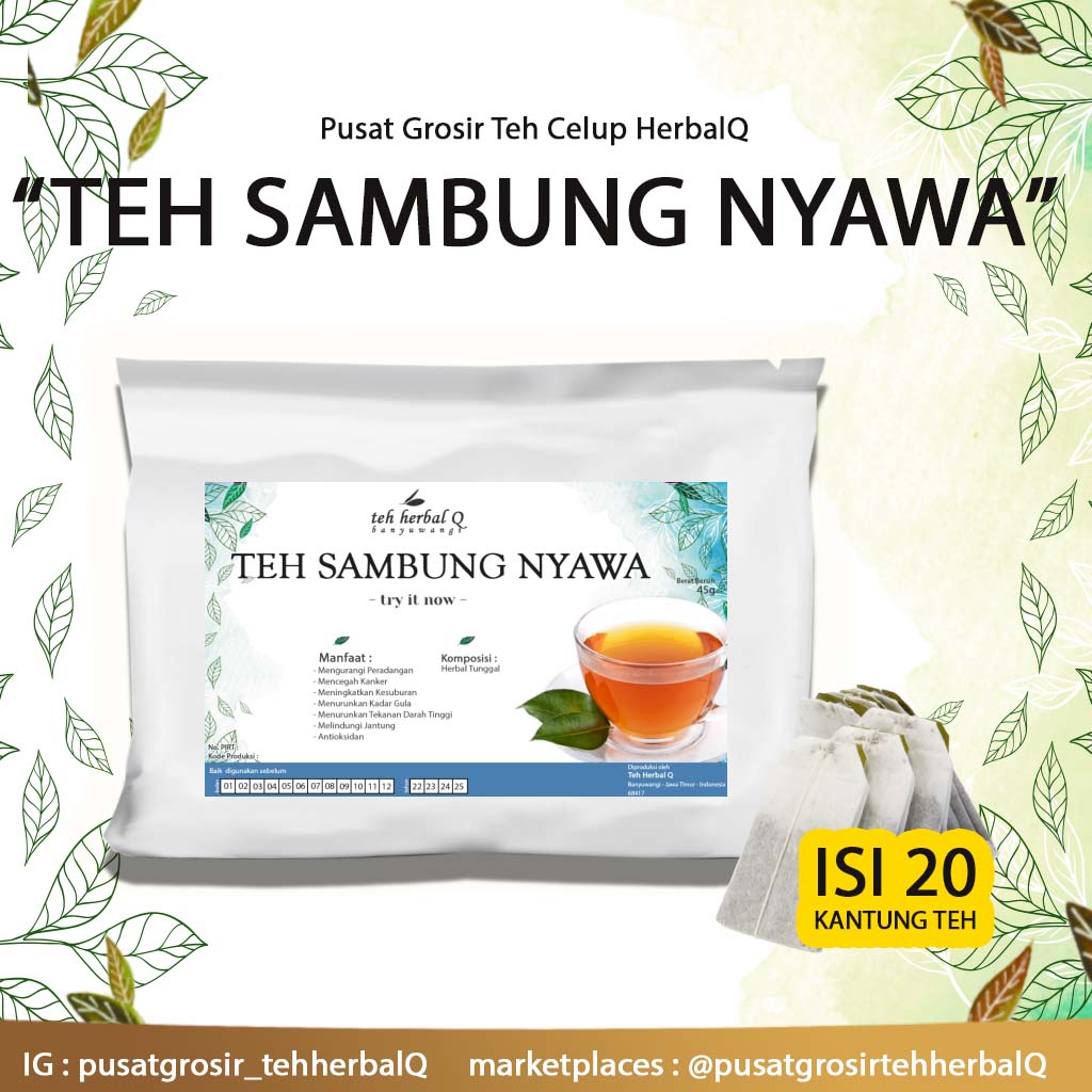

Teh Celup Herbal Sambung Nyawa | Teh Herbal Mengurangi Peradangan, Mencegah Kanker , Meningkatkan Kesuburan, Menurunkan Kadar Gula - Menurunkan Tekanan Darah Tinggi - Melindungi Jantung - Antioksidan | Minuman Teh Herbal Tradisional