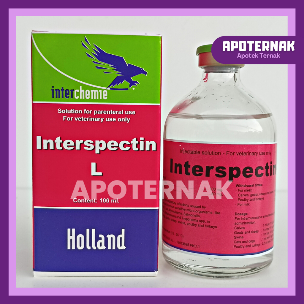 INTERSPECTIN L 100 ml | Injeksi Spectolin Spektolin | Like LS Injection &amp; Pantex Spectolin