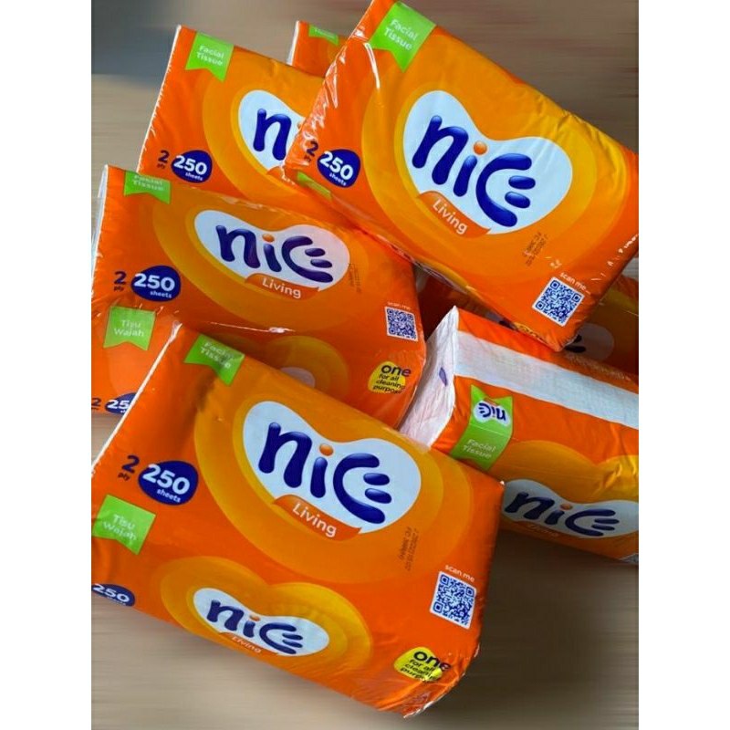 tisu nice 250