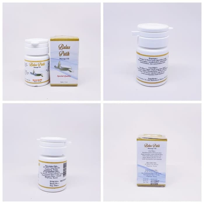 Minyak Bulus Putih - Bulus Putih Massage Oil Original BPOM