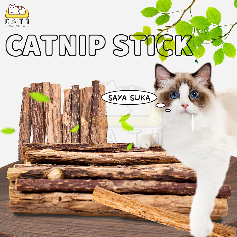 Catnip Stick Kucing - Stick Snack Kucing Mainan Kucing 100% Natural Matabi Makanan Kucing Catnip