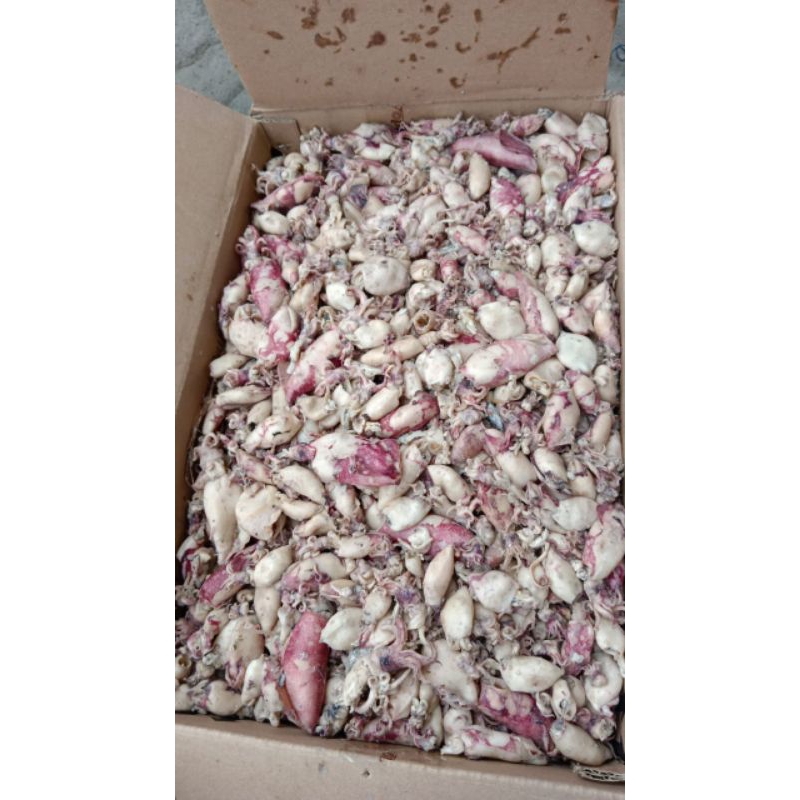 

Cumi Asin Beku (Frozen)