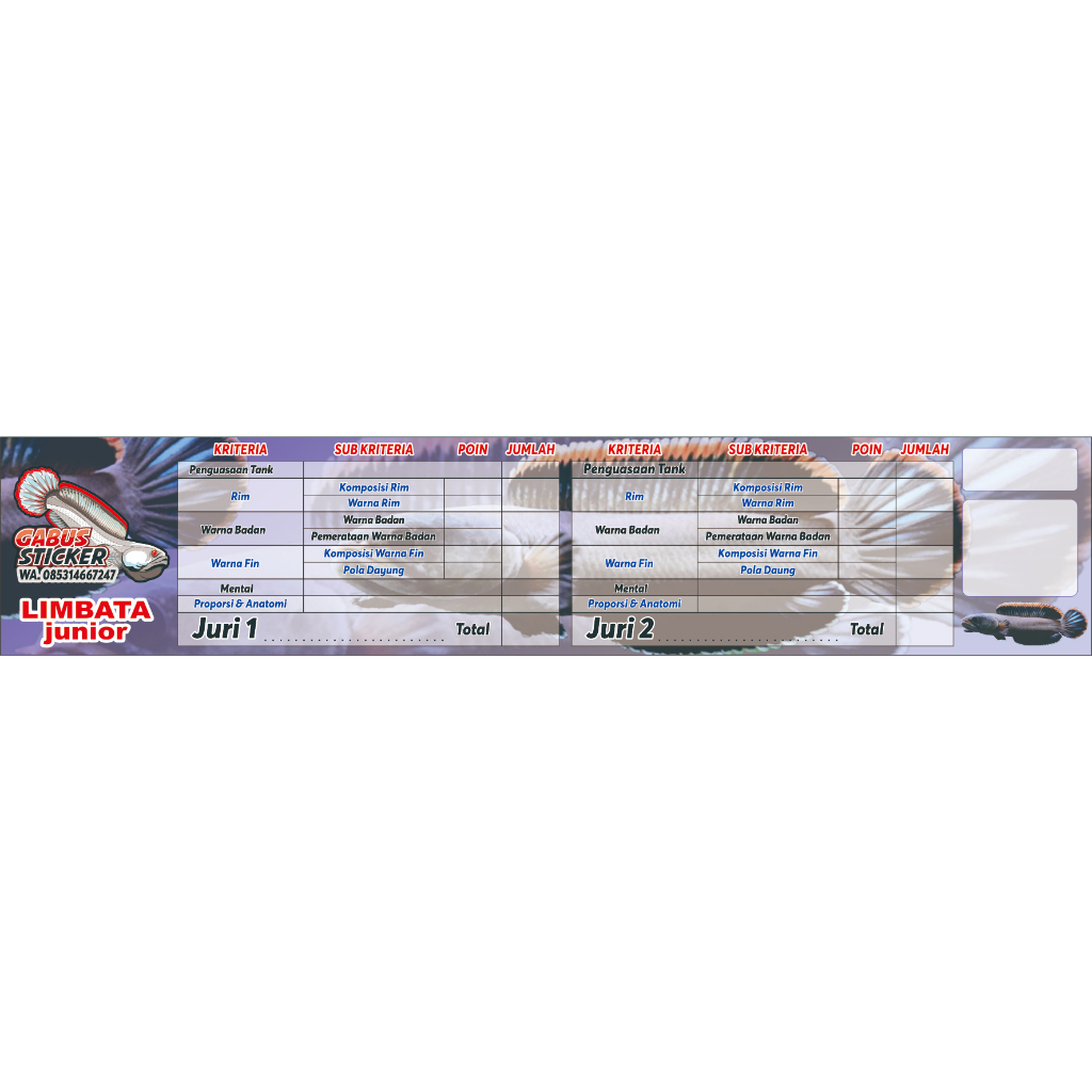 stiker kontes channa limbata custom