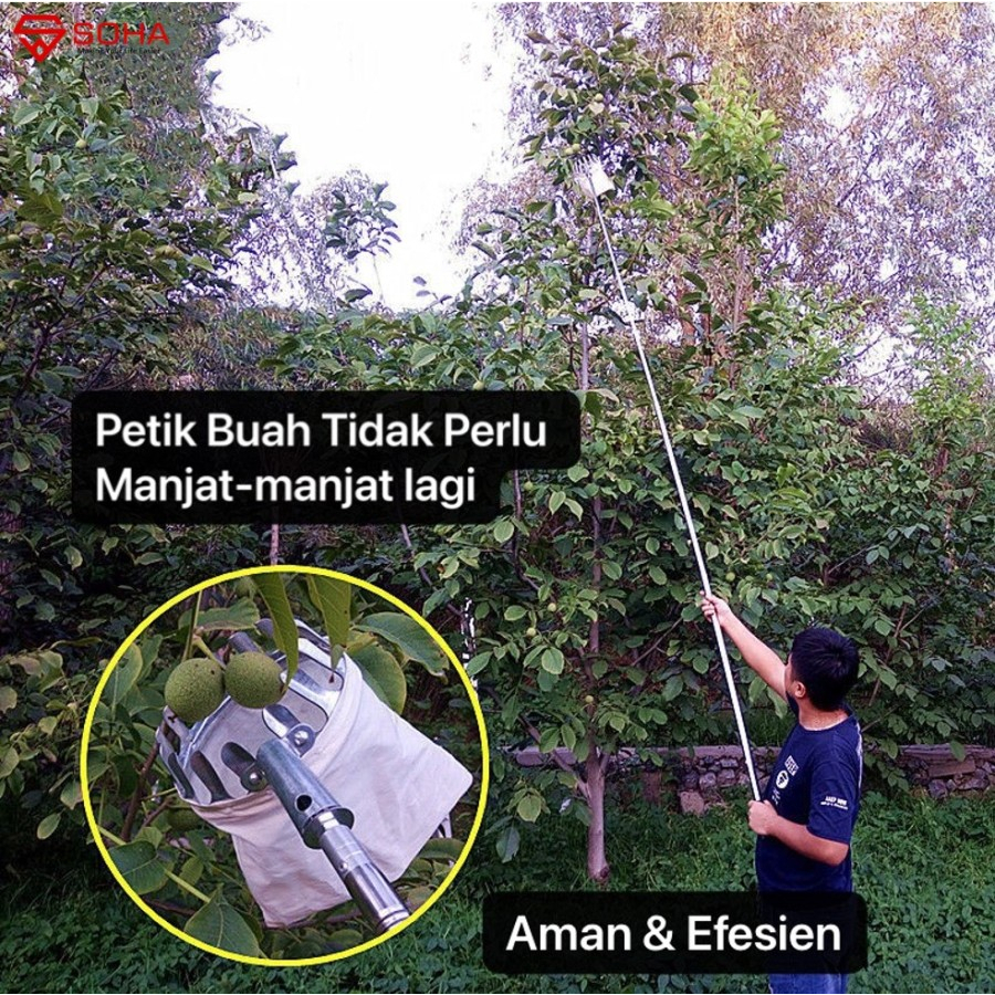 Tongkat Tinggi Gergaji Potong Ranting Alat Petik Buah Fruit Picker