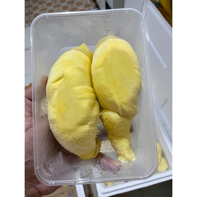 

Durian Montong Palu / Duren Monthong Parigi