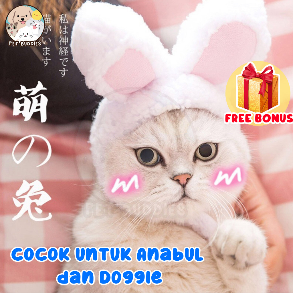 [FREE BONUS]Topi Kelinci Kucing/Anjing Cat Bunny Ears Lucu