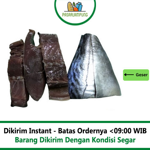 Ikan Tongkol Potongan Pasar Lampung