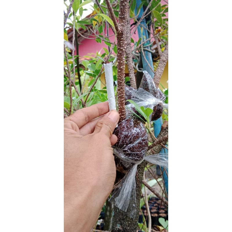 kimeng bahan gabungan