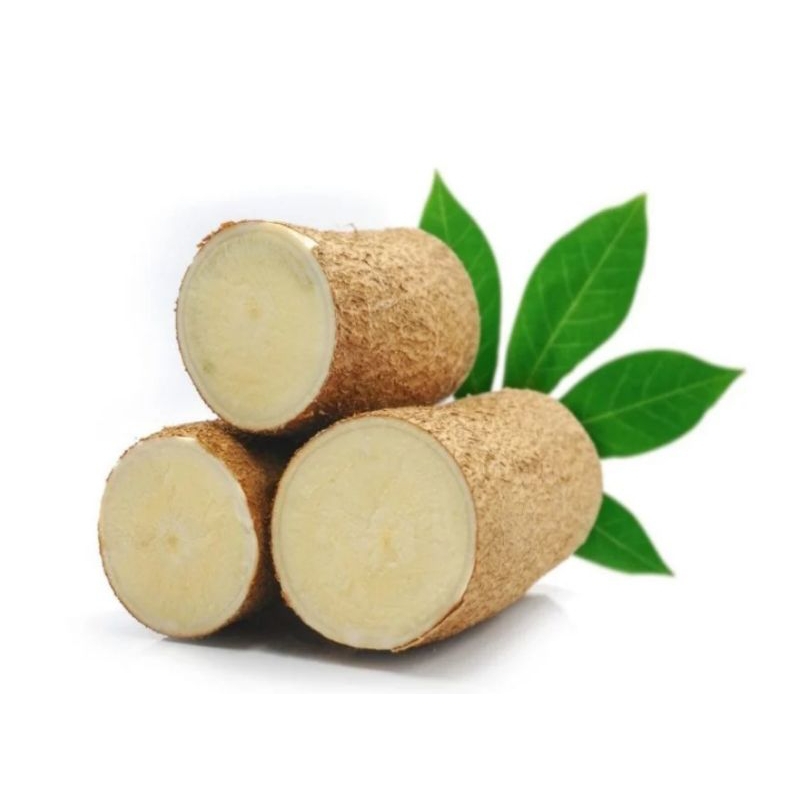 

singkong super 500 gram murah lebay