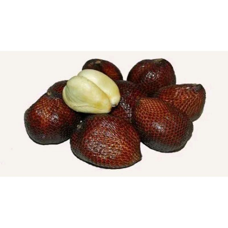 

SALAK MANIS
