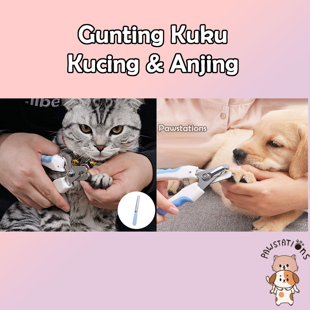 Gunting Kuku Kucing Gunting Kuku Anjing Gunting Kuku Tang Gunting Kuku Hewan Gunting Kuku Kelinci