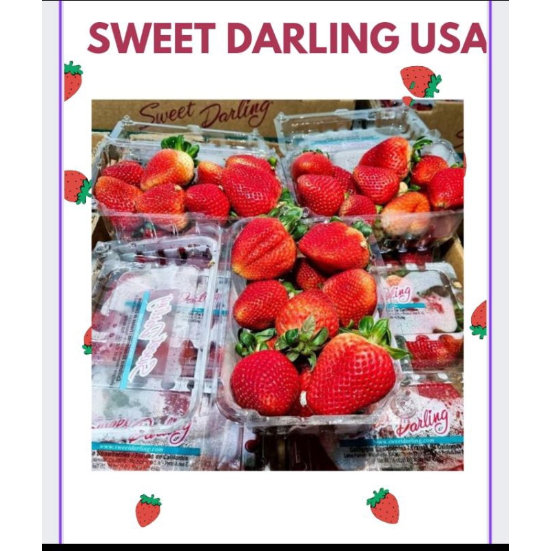 

Strawberry Import Sweet Darling USA