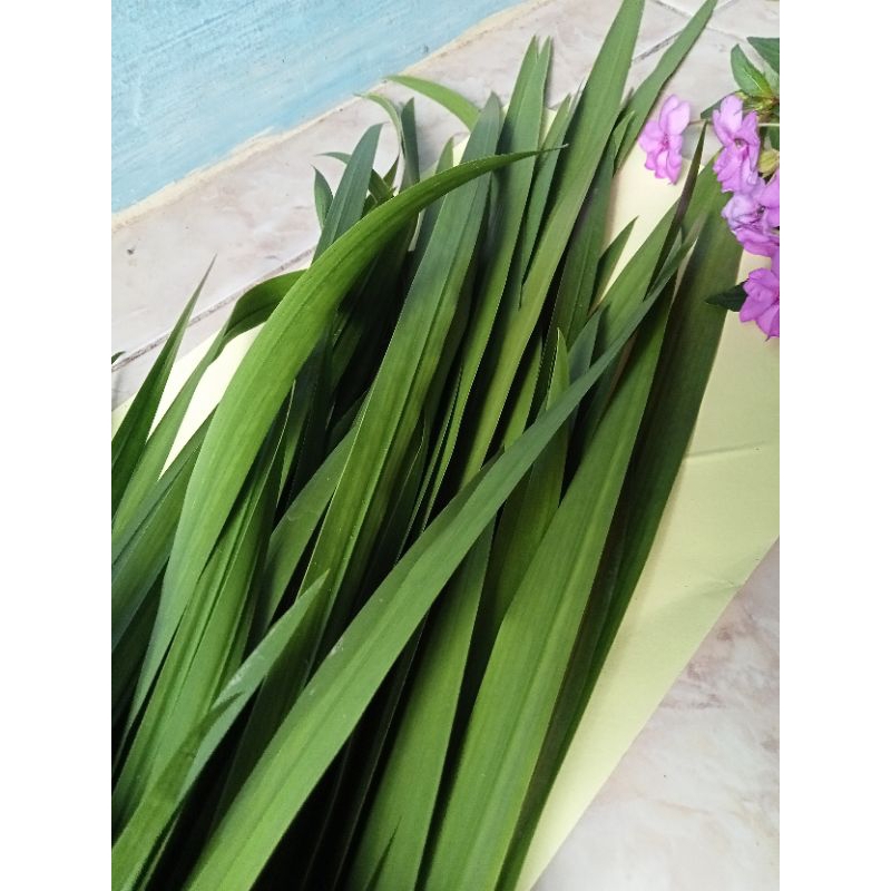 

Daun jaring 100gr
