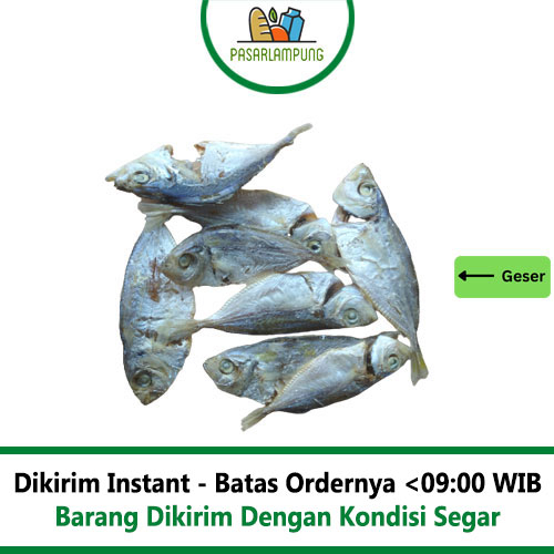 

Ikan Asin Selar Kecil 250 Gram Pasar Lampung