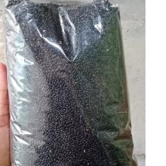 

REMPAH HERBAL TERBAIK BIJI SELASIH-1 KG