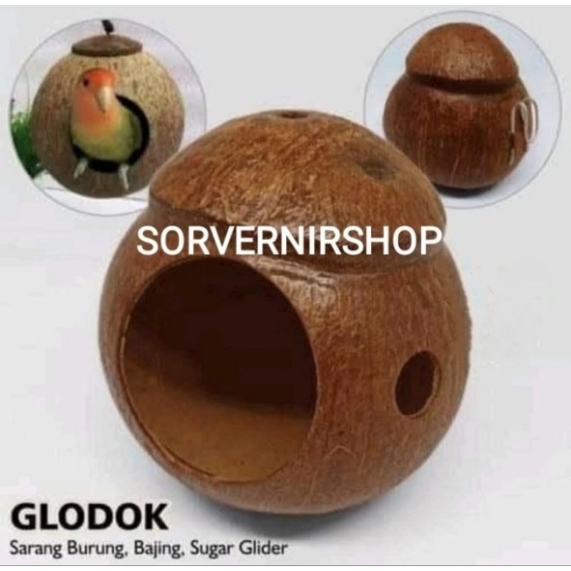 glodok batok kelapa sarang burung lovebird dan sugar glider unik
