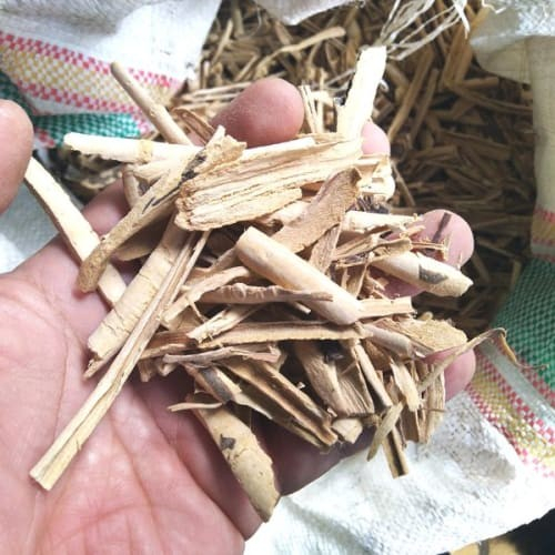 

Kayu Pulosari Kering Premium berat 1kg