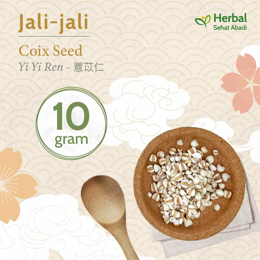 

Jali Jali China 10 gram / Coix Seed / Yi Yi Ren (薏苡仁) / Barley