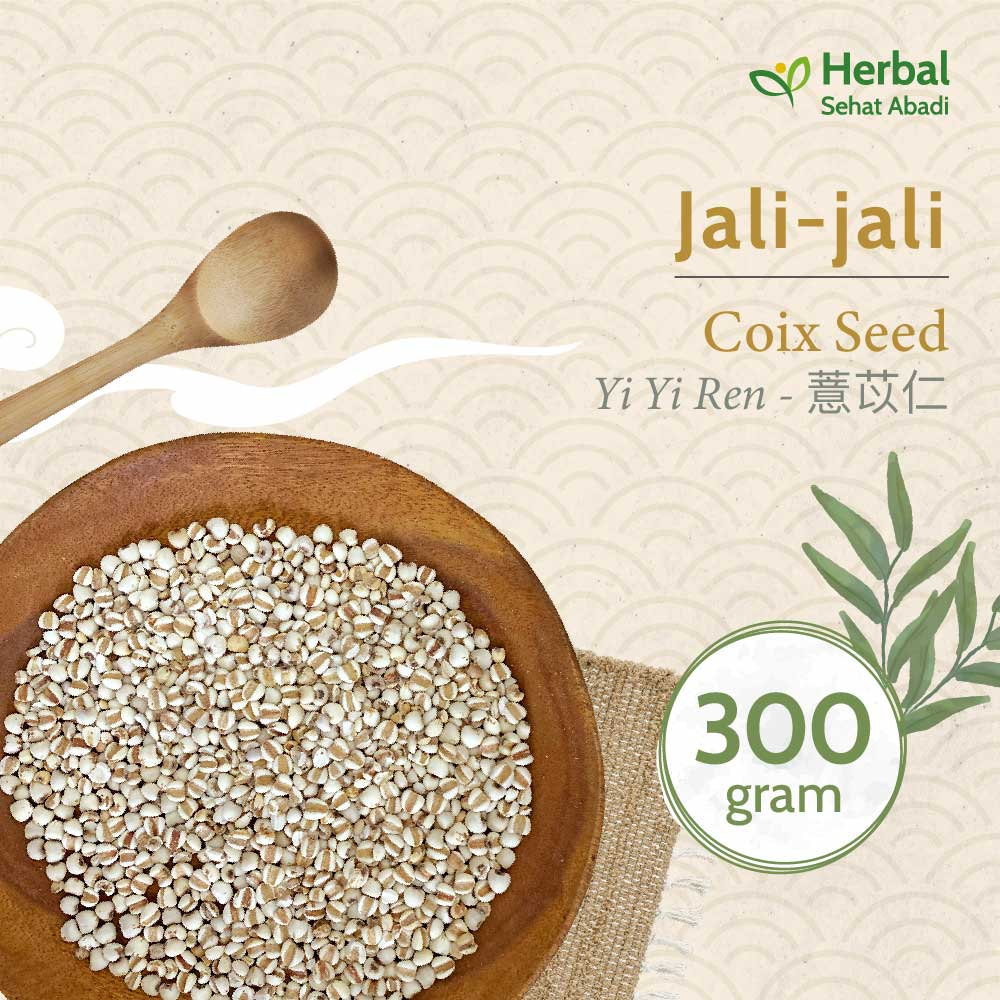 

Jali Jali China 300 gram / Coix Seed / Yi Yi Ren (薏苡仁) / Barley