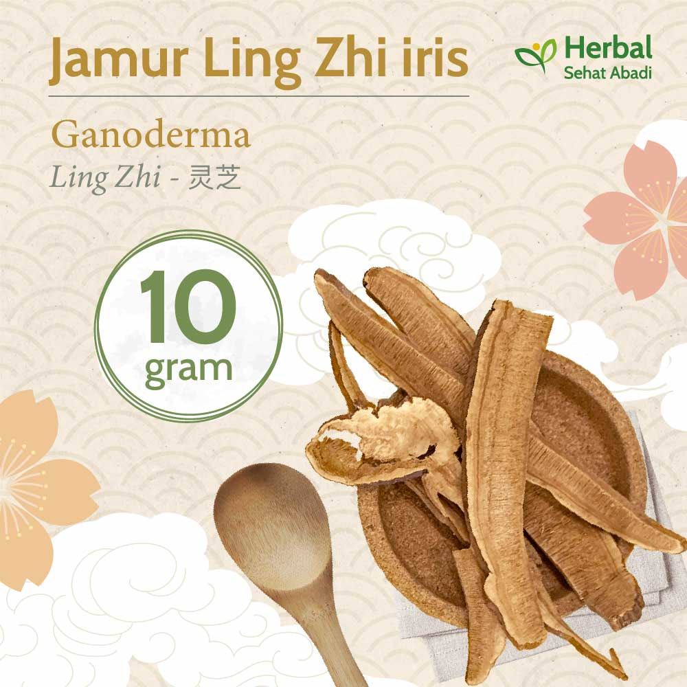 

Jamur Ling Zhi 10 gram Iris (灵芝) / Lingzhi / Lingzi / Ganoderma