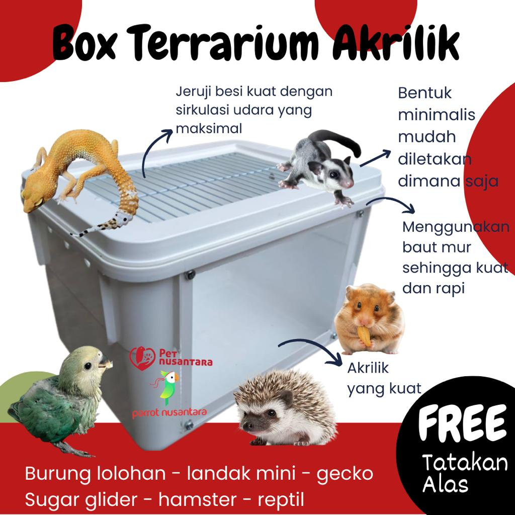 Box terrarium akrilik hewan lolohan burung gecko sugar glider reptil