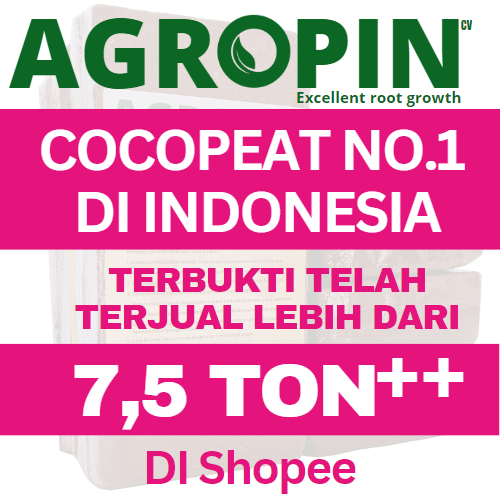 cocopeat media tanam mengembang 6X (Putar video produk)