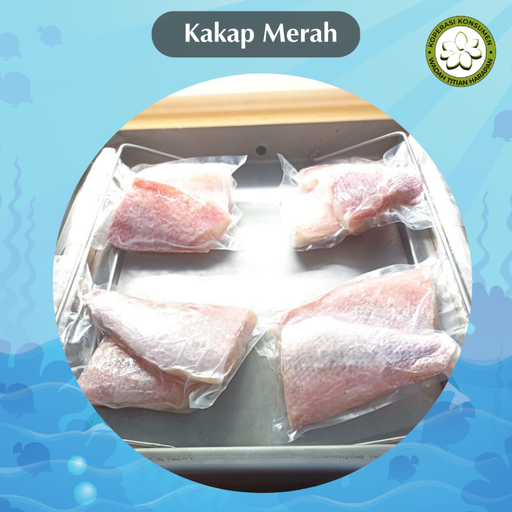 

Kakap Merah Berkualitas Kemasan 500 gr