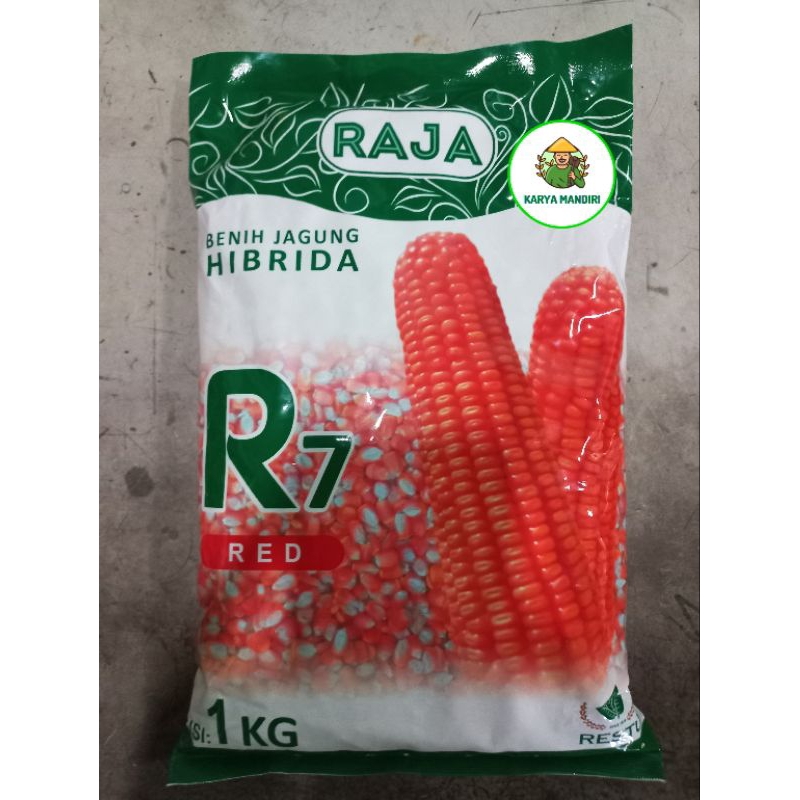 Benih Jagung Hibrida Raja R7 RED