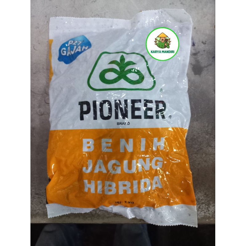 Benih Jagung Hibrida Pioneer P27 Gajah