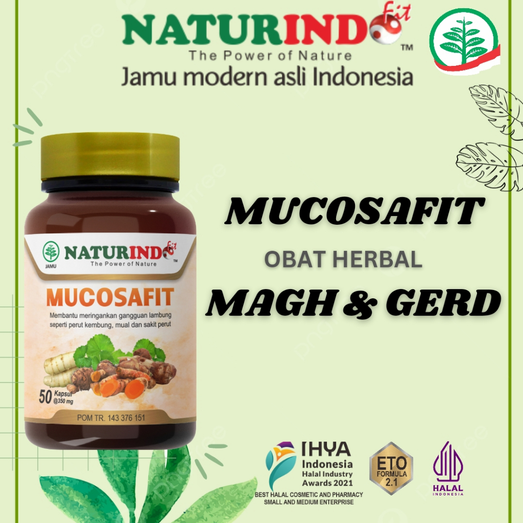 

OBAT HERBAL MUCOSAFIT, UNTUK LAMBUNG MAGH ASAM LAMBUNG KRONIS GERD MASUK ANGIN MUAL PERUT KEMBUNG MEREDAKAN NYERI ULU HATI