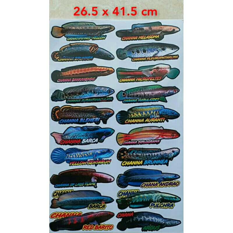 sticker ikan Canna+mix gambar lain (5 pc)
