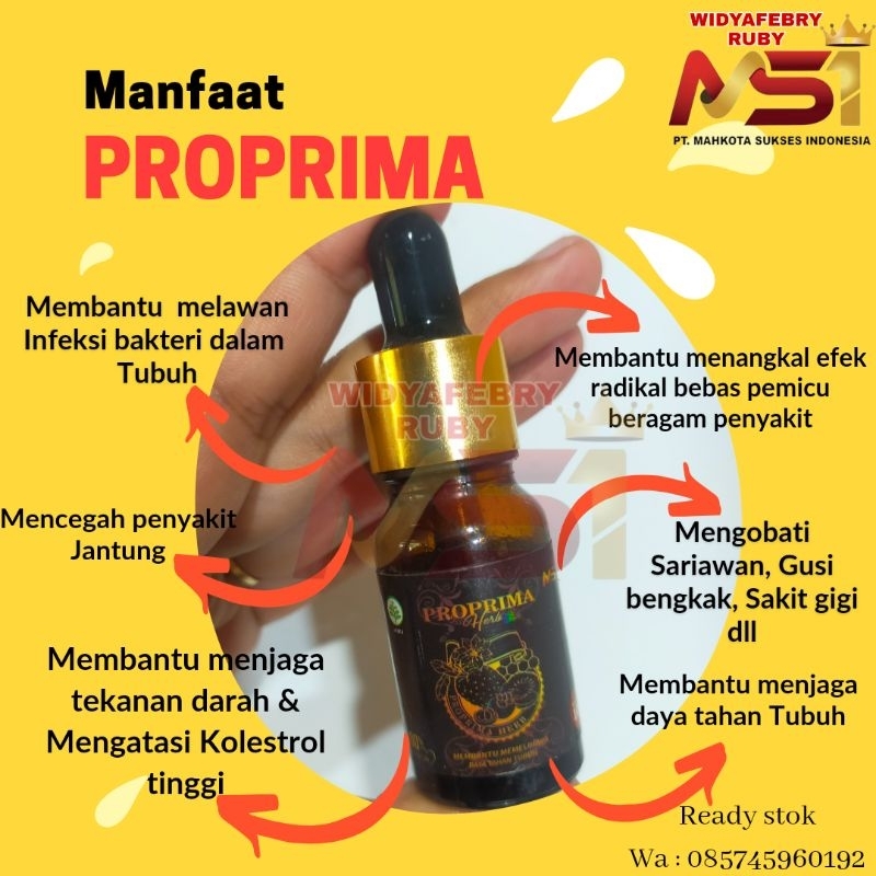 

(BISA COD) PROPRIMA(SIMAPRO) KEMASAAN BARU ORI HERBAL