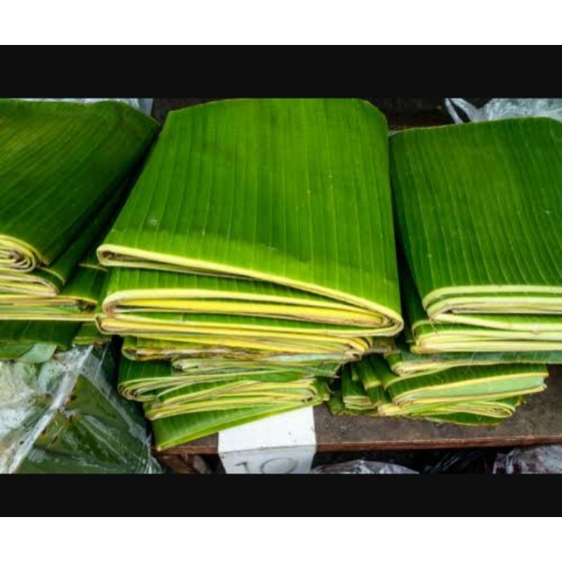 

Daun Pisang Fresh / Daun pisang Murah / Daun Pisang Perikat