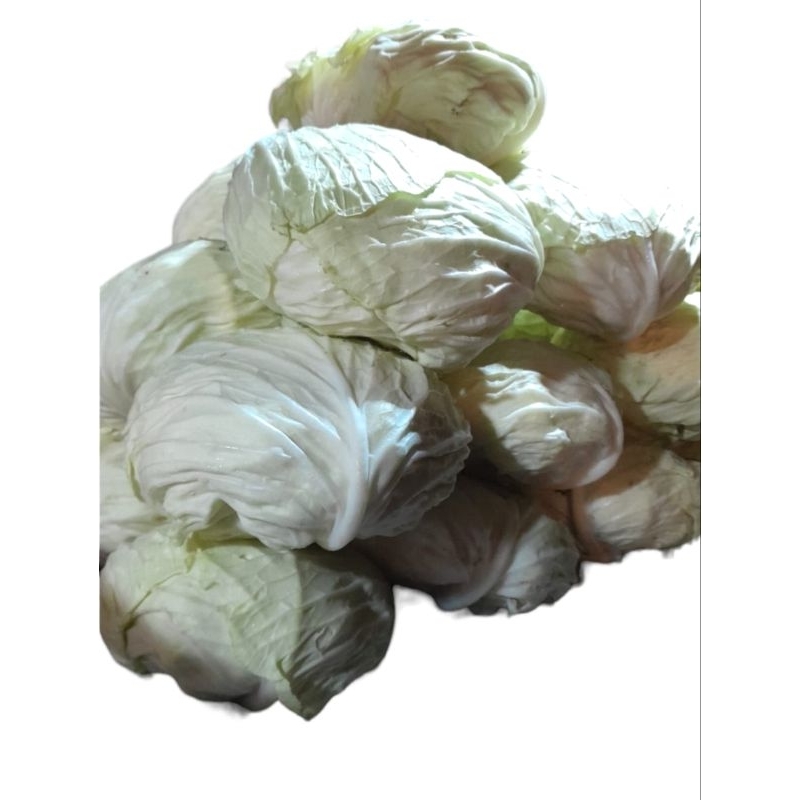

kol putih 1 kg