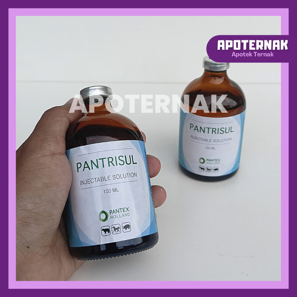 PANTRISUL 100 ml | Obat Antibiotik Hewan Diare Batuk Pilek | Infeksi Saluran Pencernaan Pernafasan Kemih | Like Colibact Inj Sulfa Strong Intertrim | Pantex Holland | Apoternak