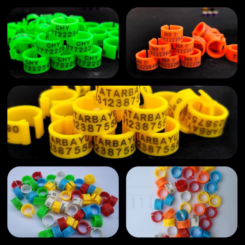 RING KLIP MERPATI bahan import     BISA REQUEST NAMA