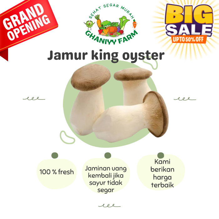 

Jamur King Oyster 200Gram