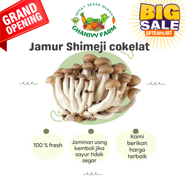 

Jamur Shimeji Coklat 200 Gram