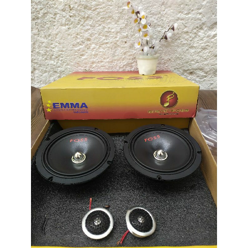 Speaker 2Way Foss fs3 Rhodium