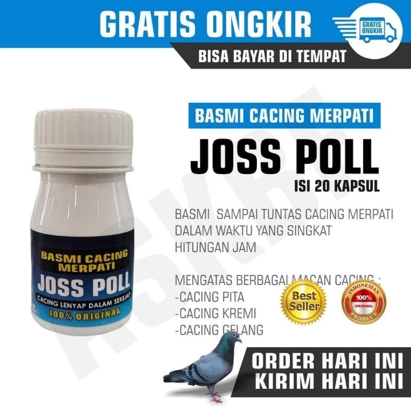 OBAT CACING MERPATI BURUNG DARA JOSS POLL MERPATI POS