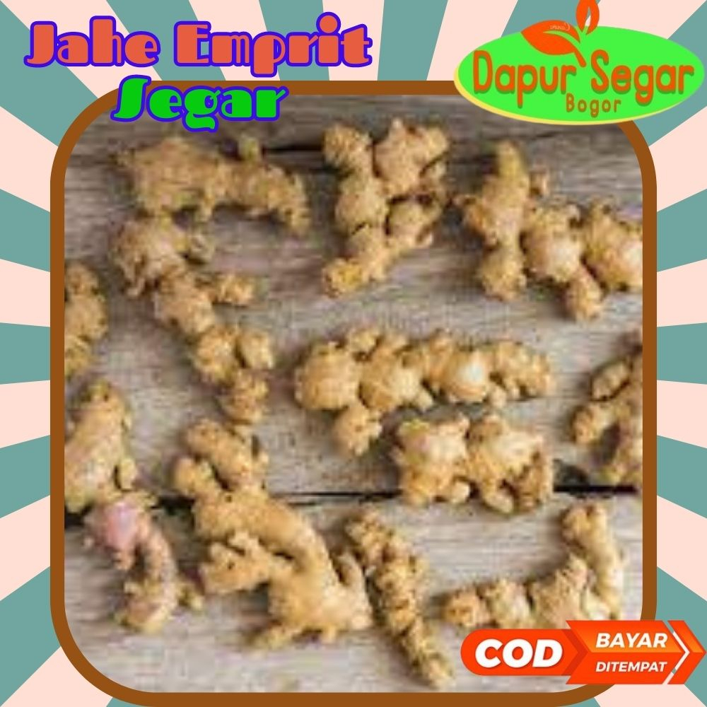 

JAHE EMPRIT JAWA Ukuran Campur 250gr