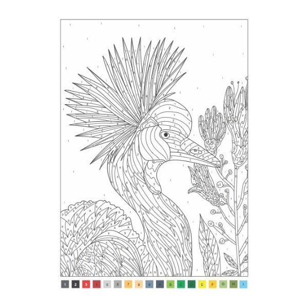 [Squiggle] UK Animals Adult Colouring Book By Numbers (Buku Mewarnai Dewasa) 32 pages