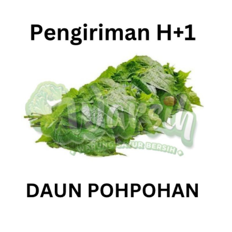 

WARSIH • DAUN POHPOHAN 1 IKAT